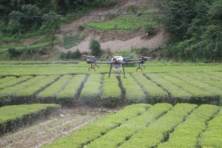 小村无人机喷洒纯生物农药防治作物病虫害